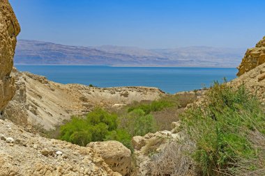 Ein Gedi İsrail'de bir vaha her bakıldığında Dead Sea