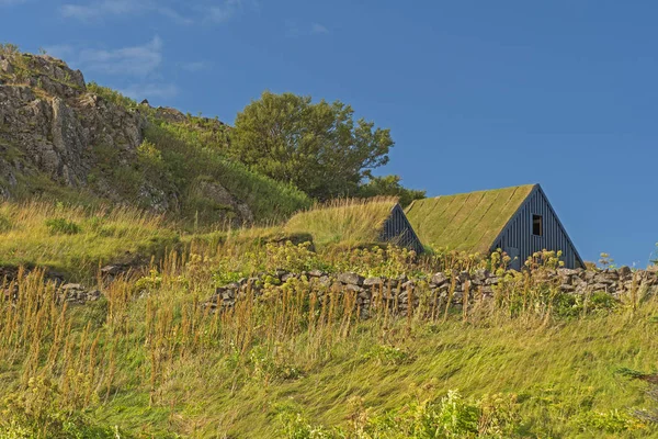 Каменный Забор Травяные Крыши Сельской Местности Недалеко Боргарнса Исландия — стоковое фото