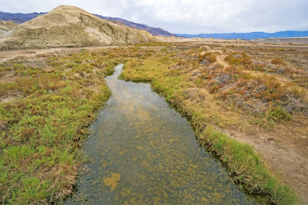 Spring Fed Salt Creek Dans Paysage Désertique Dans Parc National — Photo