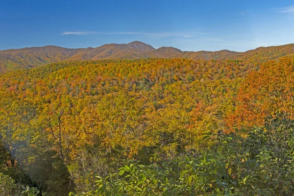 Panorama Otoño Blue Ridge Parkway Cerca Asheville Carolina Del Norte — Foto de Stock