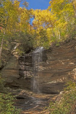 Kuzey Carolina 'daki Pisgah Ulusal Ormanı' nda Sonbaharda HIdden Moore Koyu Şelalesi