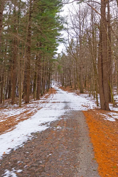 Snow and Ice on a Rural Forest Road — Stock Photo, Image