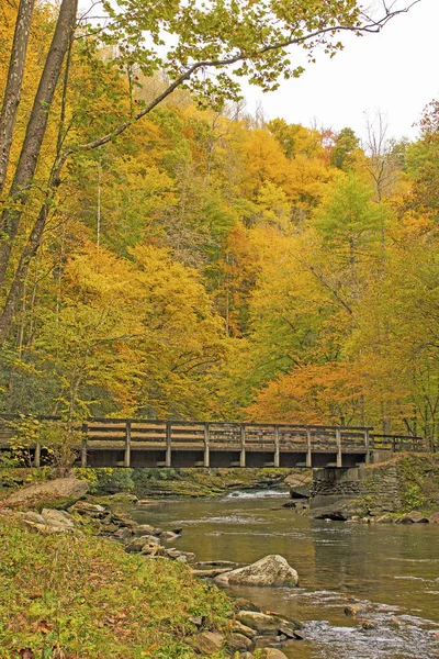 Venkovské most v lese na podzim — Stock fotografie