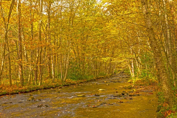 Rzeka spokojny w barwach jesieni — Zdjęcie stockowe