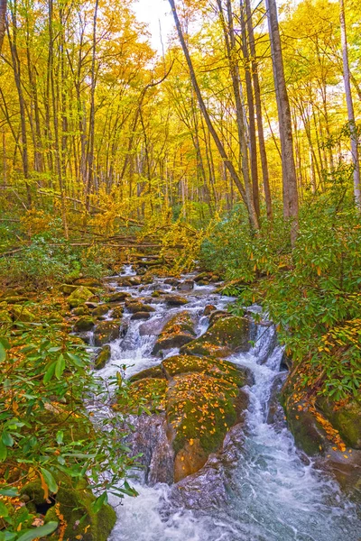 Rushing Stream Running Through the Rocks and Leaves of the Fall — Stock Photo, Image