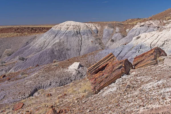 彩绘沙漠多彩的丘陵中的石化木材 — 图库照片