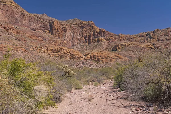 Montañas del Desierto Vista desde un Lavado del Desierto —  Fotos de Stock