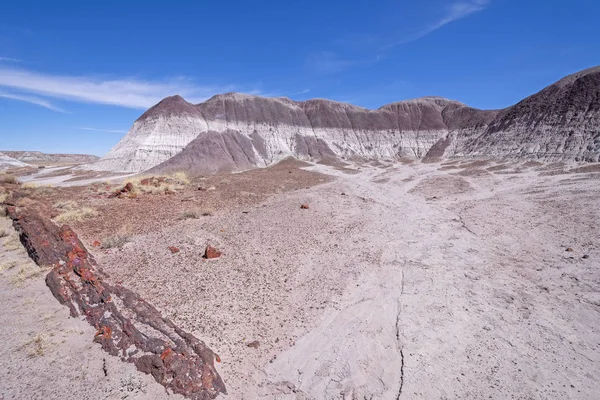 Megkövült fa a Badlands escarpments — Stock Fotó