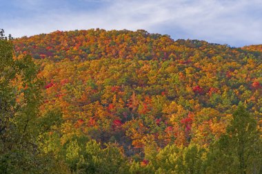Bir Dağ Sırtında Parlak Sonbahar Renkleri