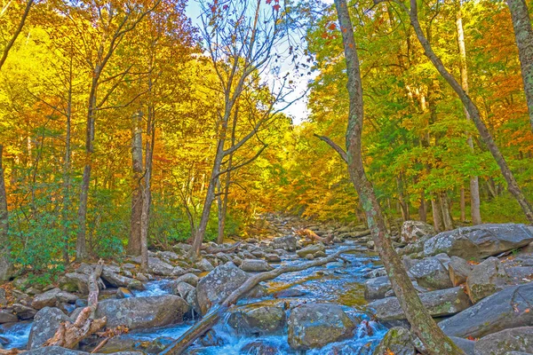 Herbstfarben über einem einsamen Gebirgsbach — Stockfoto