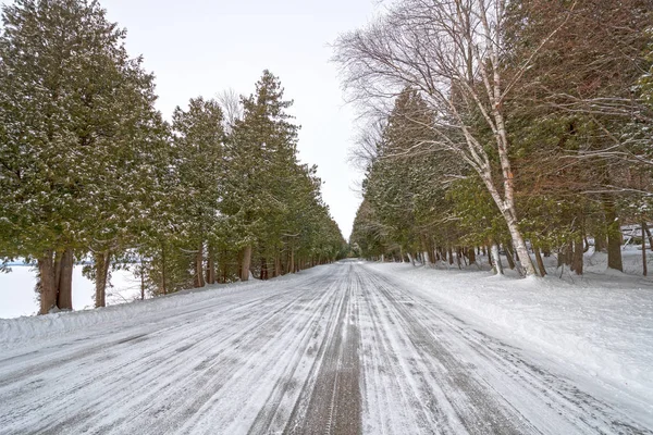 Lakeshore Road in the Winter — Stock Photo, Image