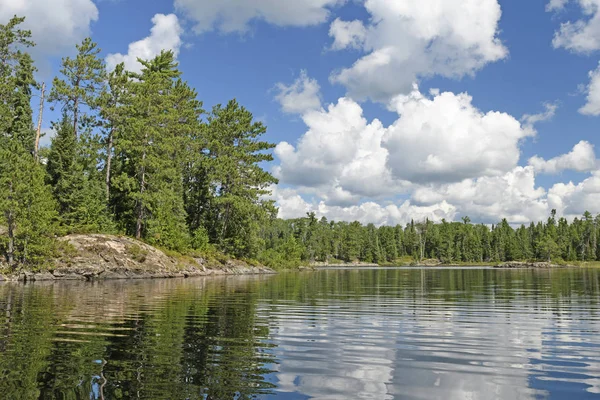 Nuvole pomeridiane estive gonfie sopra i boschi del nord — Foto Stock