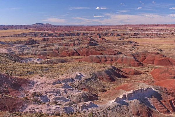 Deserto Vermelho na Primavera — Fotografia de Stock