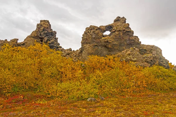 Colores de otoño en medio de la lava —  Fotos de Stock