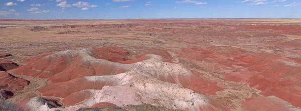 Červený pouštní Panorama — Stock fotografie