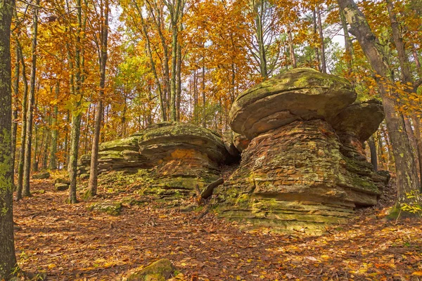 Verborgen paddestoel rotsen in het herfst bos — Stockfoto
