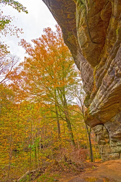 Fall Colors from Under a Sandstone Cliff — Stock Photo, Image