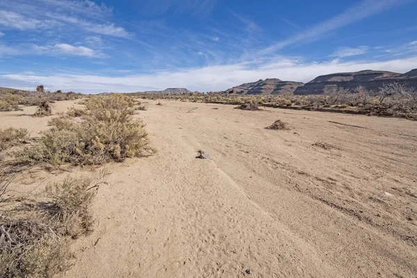 Llanura de inundación seca en el desierto de Mojave —  Fotos de Stock