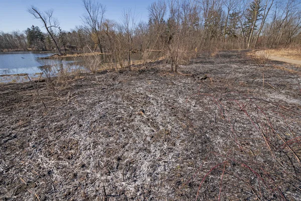 Ashes Left After a Controlled Prairie Burn — Stock Photo, Image