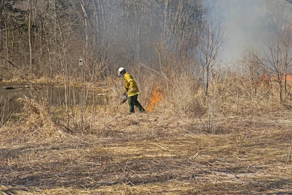 Using the Drip Torch to Start a Controlled Burn — Stock Photo, Image