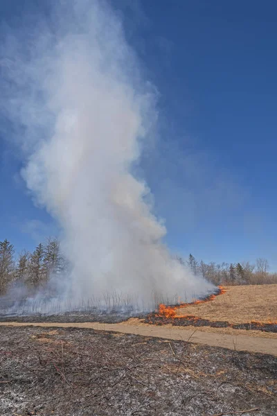 Smoke Tornado in a Controlled Prairie Burn — Stock Photo, Image