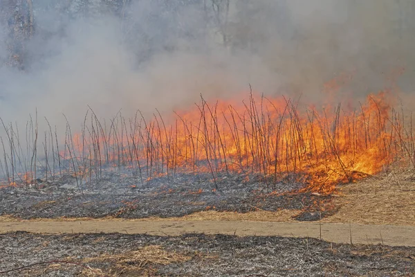 Fire Moving Through the Prarie Grass — Stock Photo, Image