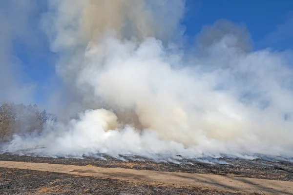 Rook stijgt van gecontroleerde Prairie Burn Rechtenvrije Stockfoto's