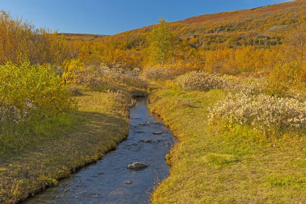 Pád podél potoka v severním Islandu — Stock fotografie