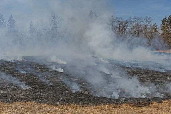 Smoke and Blackened Ground after a Prairie Burn — Stock Photo, Image