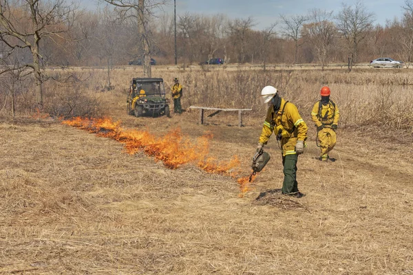 Using a Drip Torch to Start a Controlled Prairie Burn — Stock Photo, Image