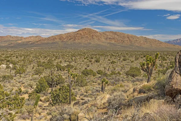 Panorama de la montaña del desierto a principios de primavera — Foto de Stock
