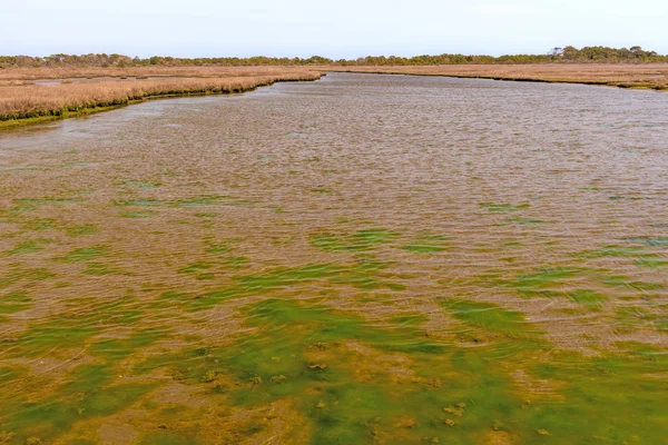 Kleurrijke estuarium op een barrière-eiland — Stockfoto