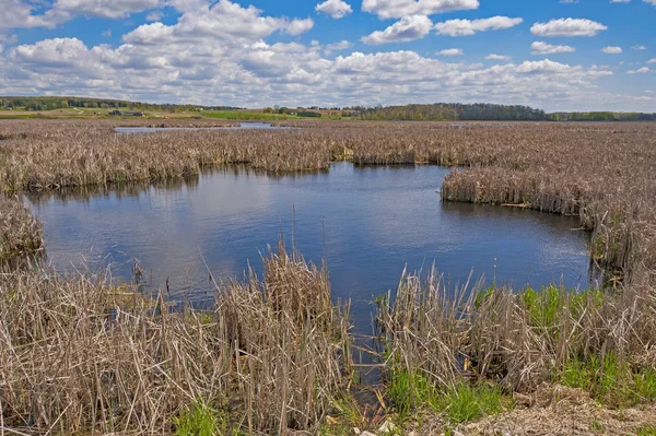 Terreno paludoso nel terreno agricolo — Foto Stock