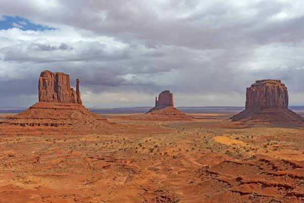 Sentinelle solitarie nel deserto — Foto Stock