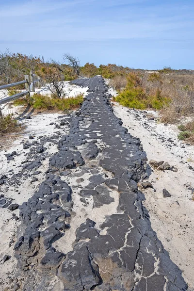 Bir Barrier Island Üzerinde Eski Aşınmış Yol — Stok fotoğraf