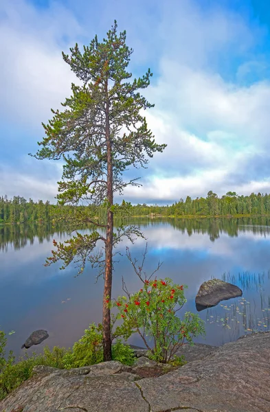 Rocky Viewpoint op een Wilderness Lake — Stockfoto