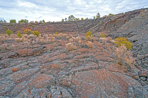 Gehärtete Lavafälle Bereich Der Lavafälle Des Malpais National Monument New — Stockfoto