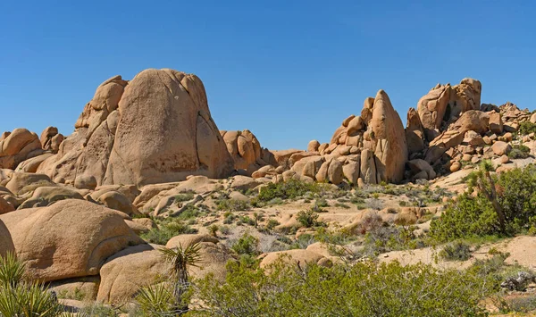 加利福尼亚约书亚树国家纪念馆沙漠之春的干旱全景 — 图库照片