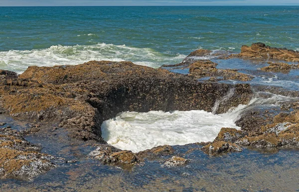 オレゴン州ペプトゥア岬の海岸にあるソーの井戸の陥没穴 — ストック写真