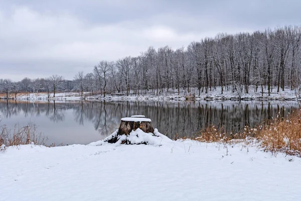 伊利诺伊州布什森林保护区森林早春降雪 — 图库照片