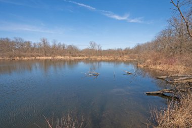 Illinois 'deki Ortaçin Ulusal Çayırı' nda sessiz bir gölet
