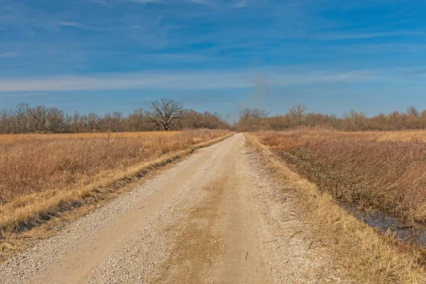 Landsbygdsväg Genom Prairie Våtmark Midewin National Tallgrass Prairie Illinois — Stockfoto