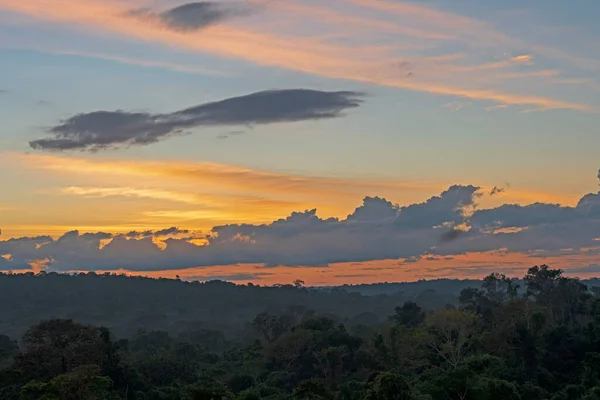 Luz Manhã Cedo Sobre Floresta Amazônica Perto Alta Floresta Brasil — Fotografia de Stock