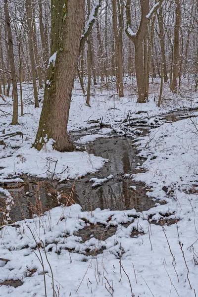 Small Stream in The Forest Running Through an Early Spring Snow in Ned Brown Preserve in Illinois