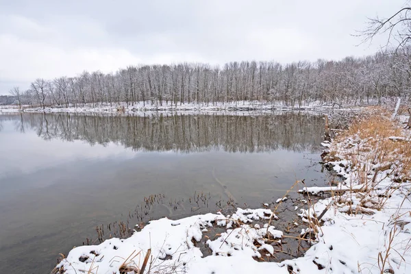 Forest Reflections Snowy Day Ned Brown Preserve Ilinois — Stock Photo, Image