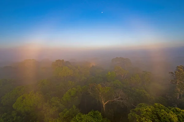 Kruhová Duha Ranní Mlze Amazonského Deštného Pralesa Poblíž Alta Floresta — Stock fotografie