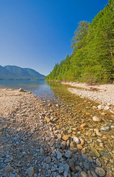 Calm Stream Emptying Alouette Lake Golden Ears Provincial Park British — Stock Photo, Image