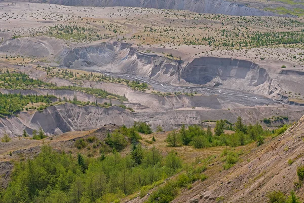 Río Que Atraviesa Flujo Piroclástico Volcán Área Volcánica Nacional Helens —  Fotos de Stock