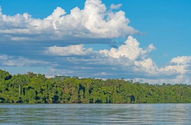 Brezilya, Alta Floresta yakınlarında Yağmur Bulutları Toplanıyor