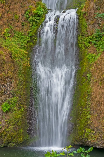 Taumelnde Wassermassen Der Lower Multnomah Falls Einer Vulkanischen Klippe Entlang — Stockfoto